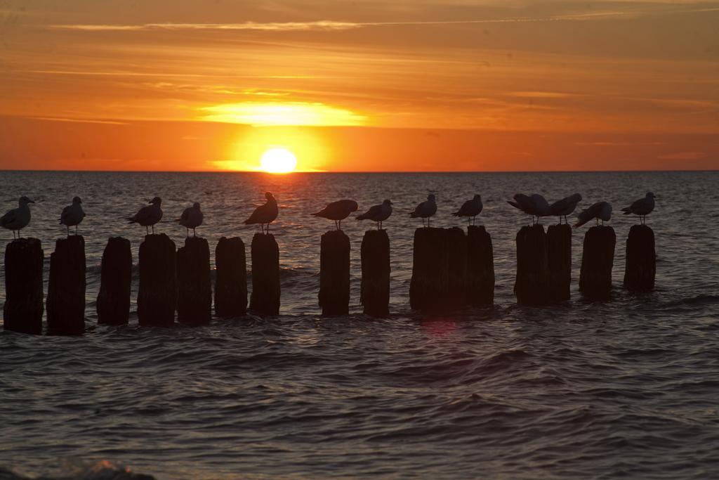Portobello Ustka Exteriér fotografie